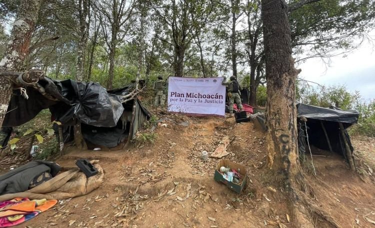 4 masculinos detenidos y destruyen plantío de marihuana y campamentos en Michoacán.