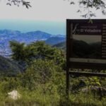Advierten riesgo ambiental en Acapulco