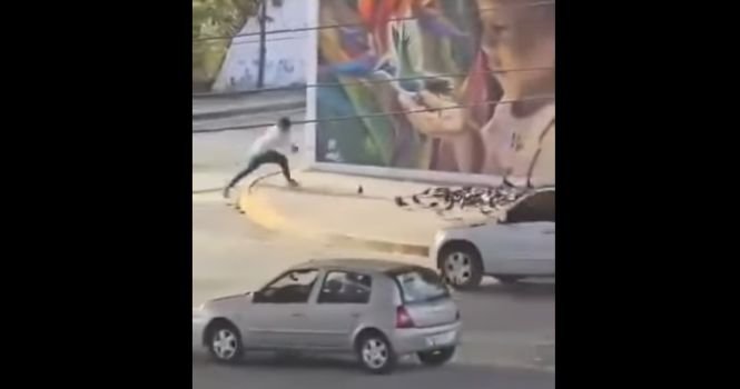 Captan captura de palomas en Puerto Marqués; vecinos exigen intervención de autoridades de bienestar animal