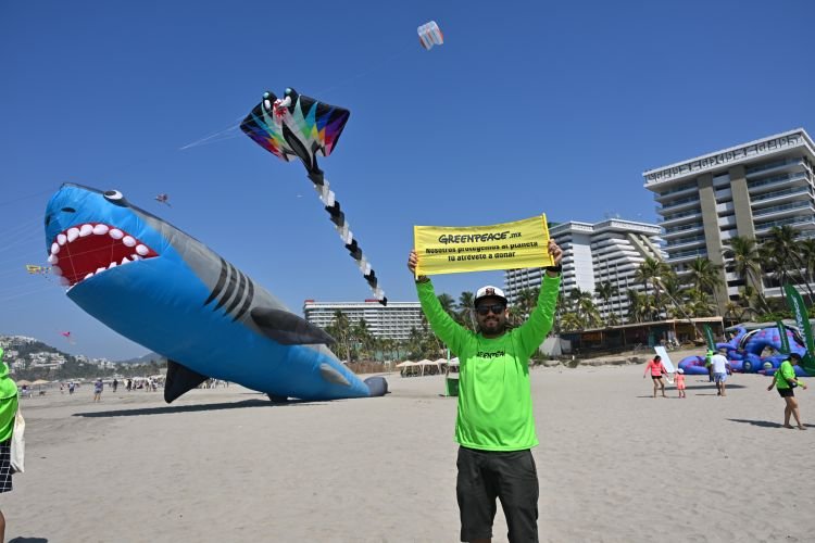 La vida marina toma el cielo en Acapulco, Guerrero